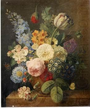 unknow artist Floral, beautiful classical still life of flowers.040 china oil painting image